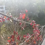 Molino La Flor * Jimera de Líbar