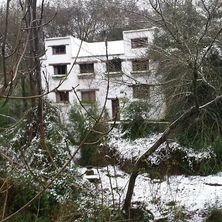 Molino La Flor Casa rural
