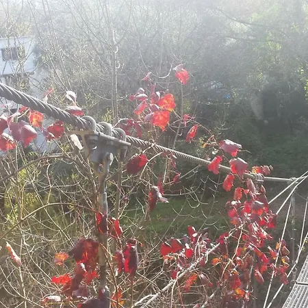 Molino La Flor * Jimera de Líbar