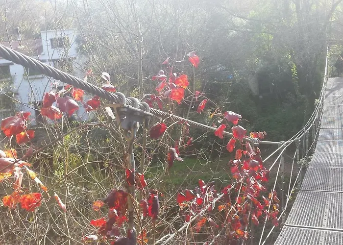 Molino La Flor * Jimera de Líbar